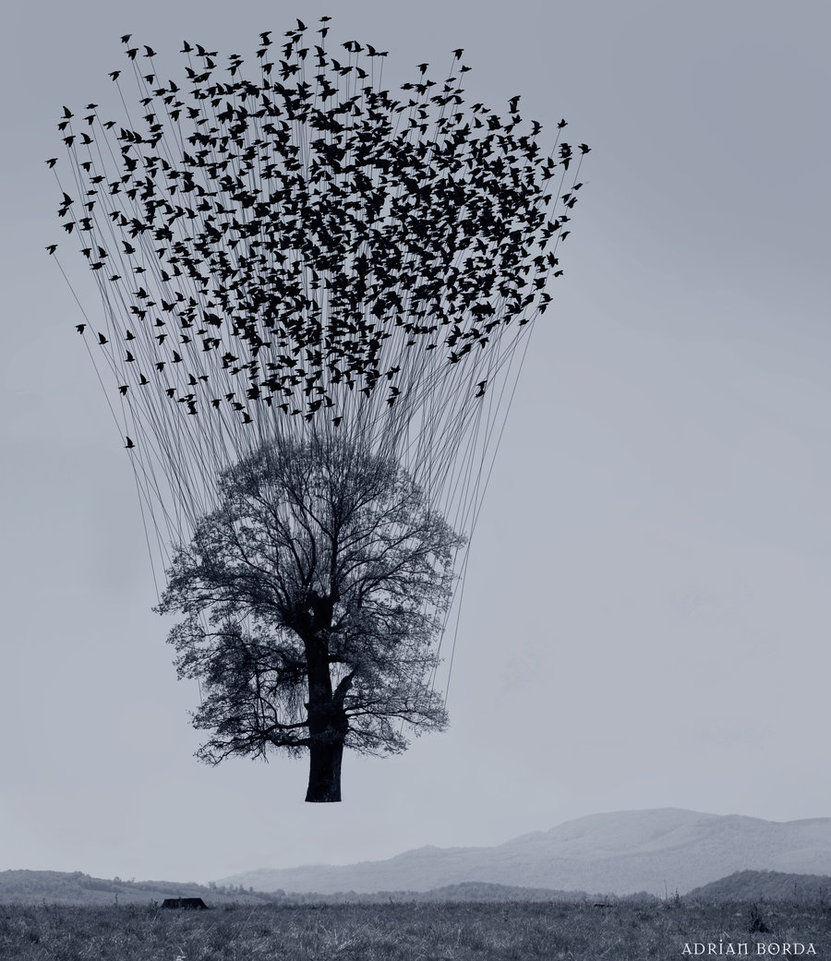 Learning to Fly